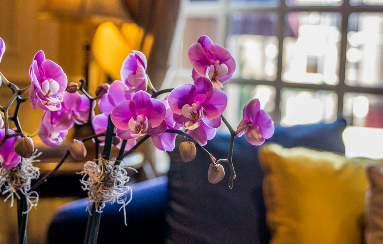 Warwick Melrose Hotel Dallas Luaran gambar